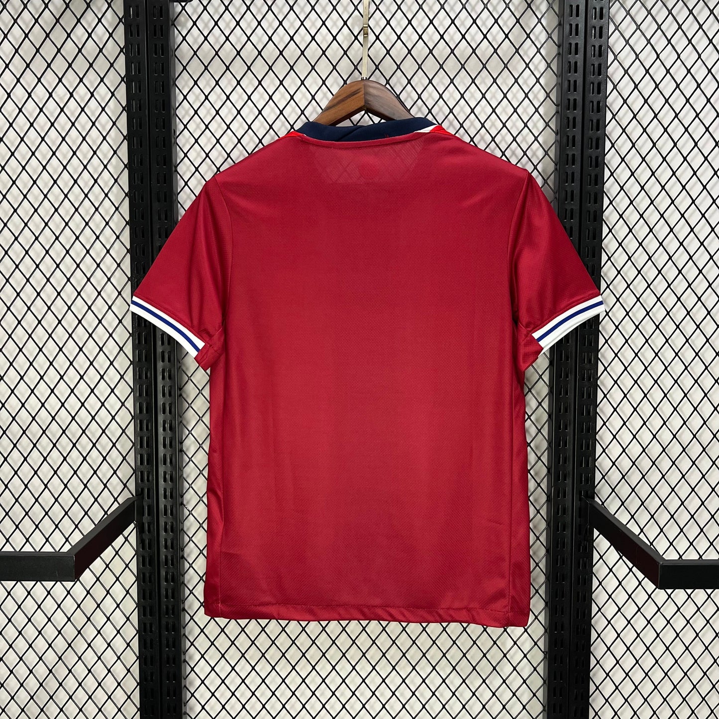 #10 テ賄egaard Norway Home Jersey 2024/2025