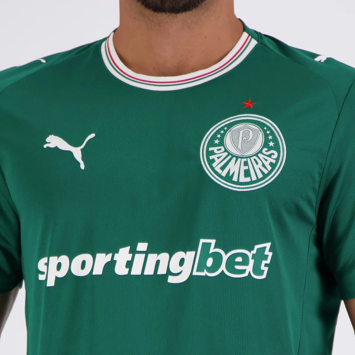 Palmeiras 2026 Home Jersey