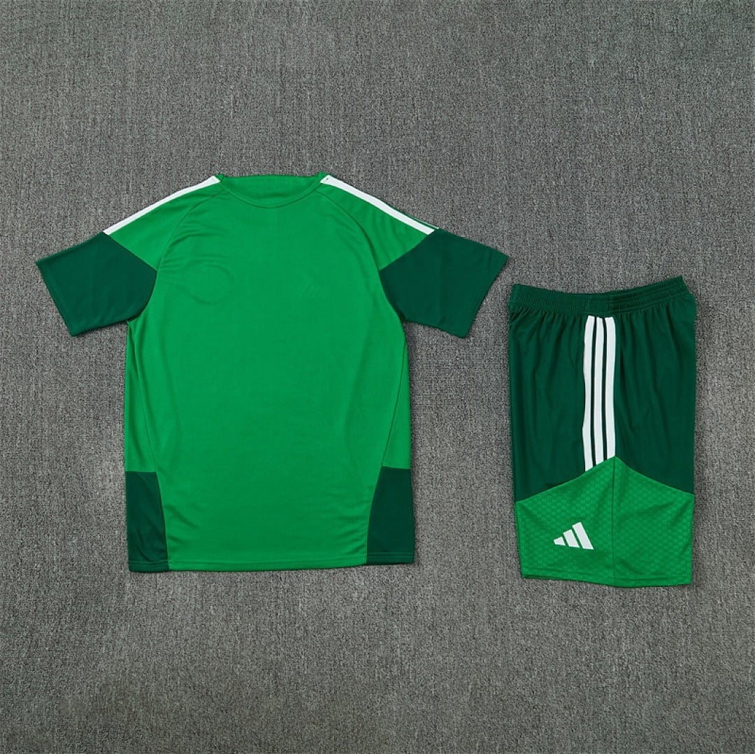 Algeria World Cup Training Kit