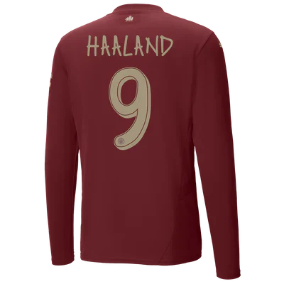 Third 24/25 Men's Long Sleeve Jersey