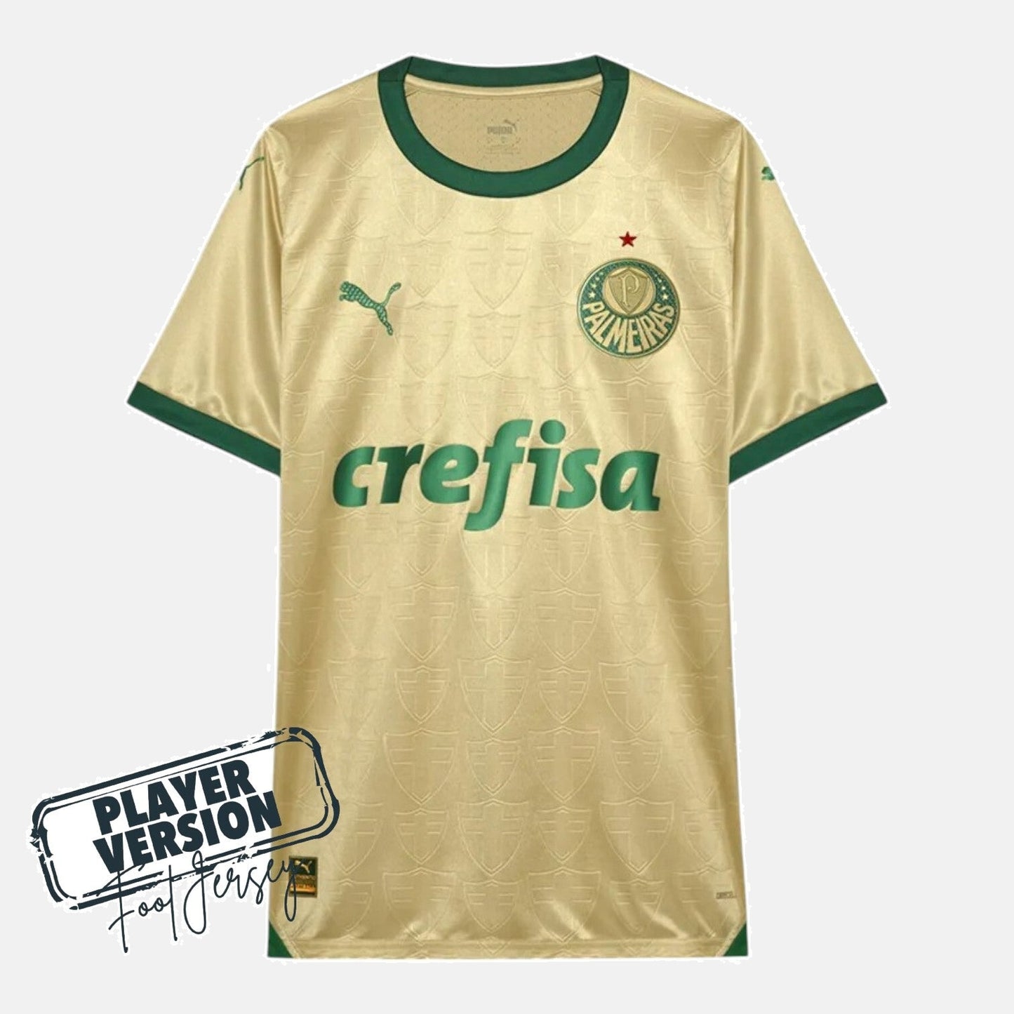 Palmeiras Player Third Jersey 2024/2025
