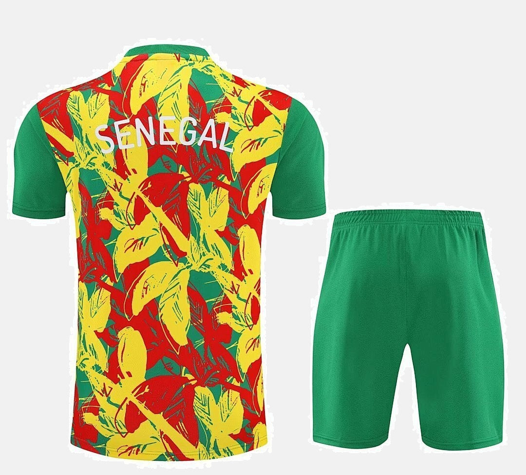 Senegal 2025 Training Kit