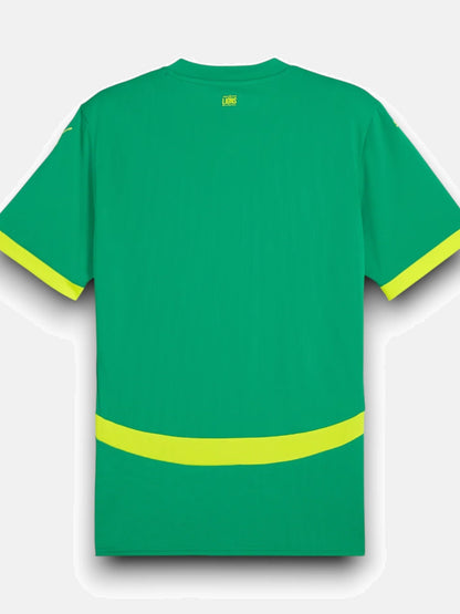 Away 25 Men's Jersey